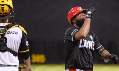 Leones y Toros pegan primero en las semifinales de la Liga Dominicana
