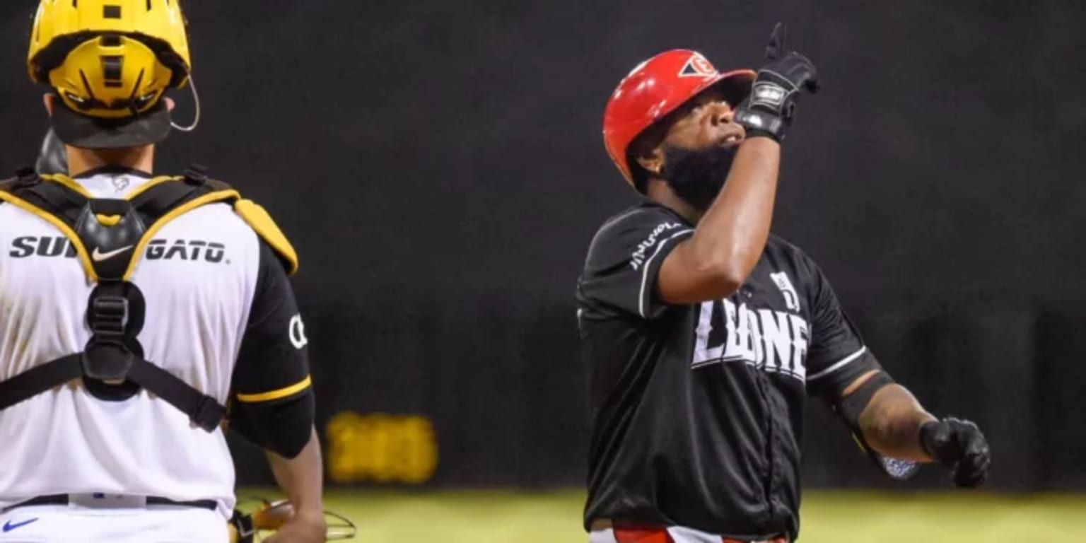 Leones y Toros pegan primero en las semifinales de la Liga Dominicana