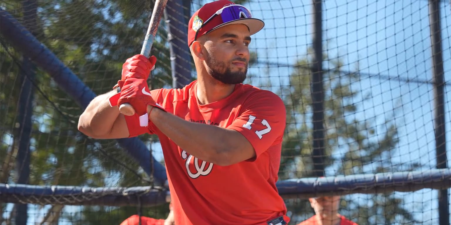Nacionales subirán al prospecto Harry Ford para su debut (fuente)