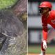 No es una fábula: Núñez, el velocista de los Nacionales, y su irónica mascota