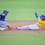 NÚMEROS MÁGICOS. Todos los escenarios de clasificación y eliminación para este viernes en la LVBP NÚMEROS MÁGICOS. Todos los escenarios de clasificación y eliminación para este viernes en la LVBP