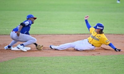 NÚMEROS MÁGICOS. Todos los escenarios de clasificación y eliminación para este viernes en la LVBP
