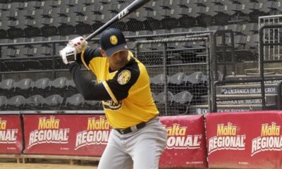 Reportan nuevos candidatos entrevistados para ser gerente deportivo de los Leones del Caracas 