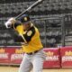 Reportan nuevos candidatos entrevistados para ser gerente deportivo de los Leones del Caracas Reportan nuevos candidatos entrevistados para ser gerente deportivo de los Leones del Caracas
